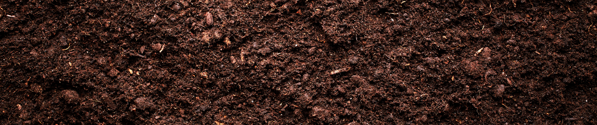 5 things you need to know about soil