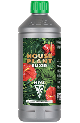 HousePlant Elixir