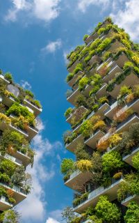 Vertical Gardening in your own home
