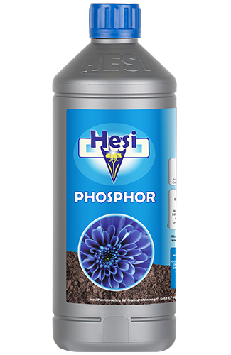 Hesi Phosphor