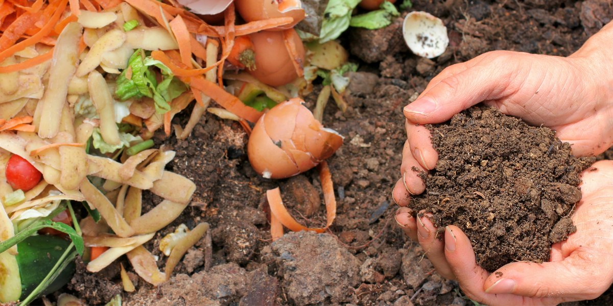 Sustainable Gardening
