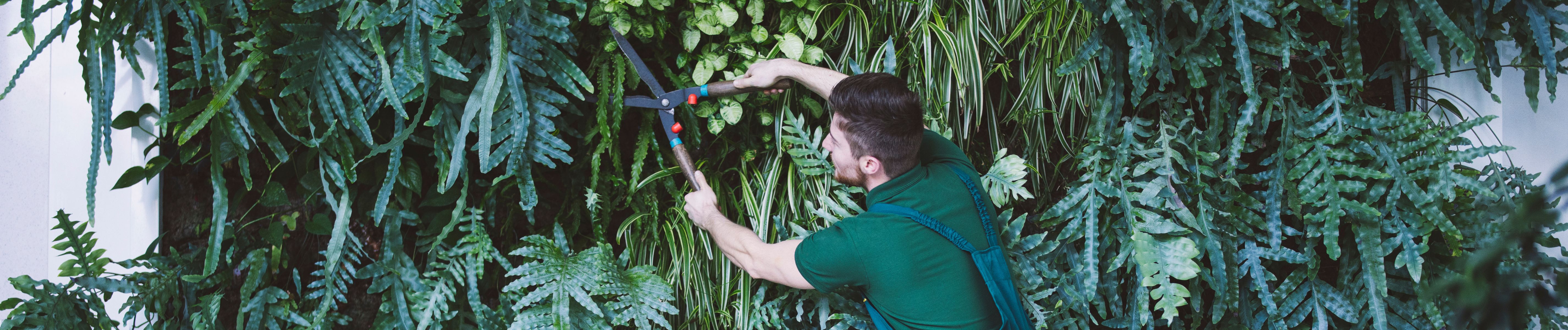 Vertical Gardening in your own home
