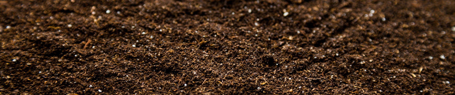 Living Soil: The Gardening Revolution