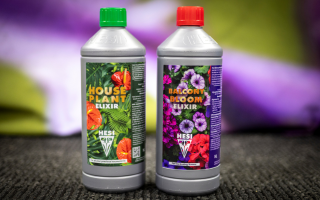 Neu im Sortiment: Hesi Balkon Blüten Elixir