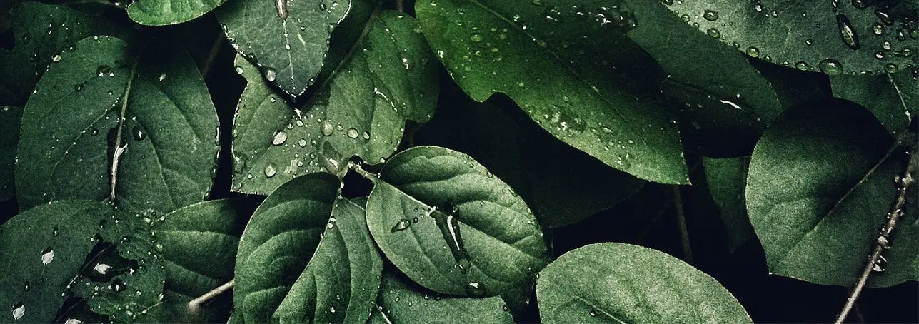 banner_1920x1920