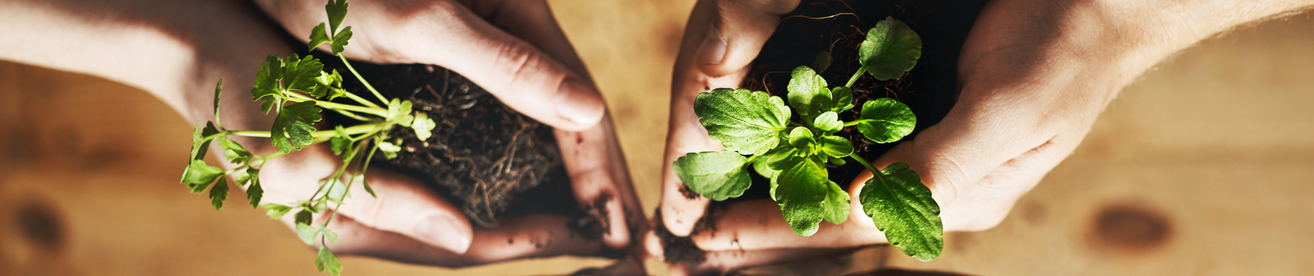 Hesi Gives Back: Partnering with Beschut 2.0 for Community Support
