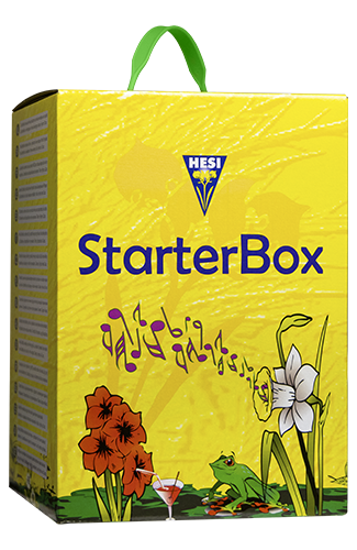 StarterBox