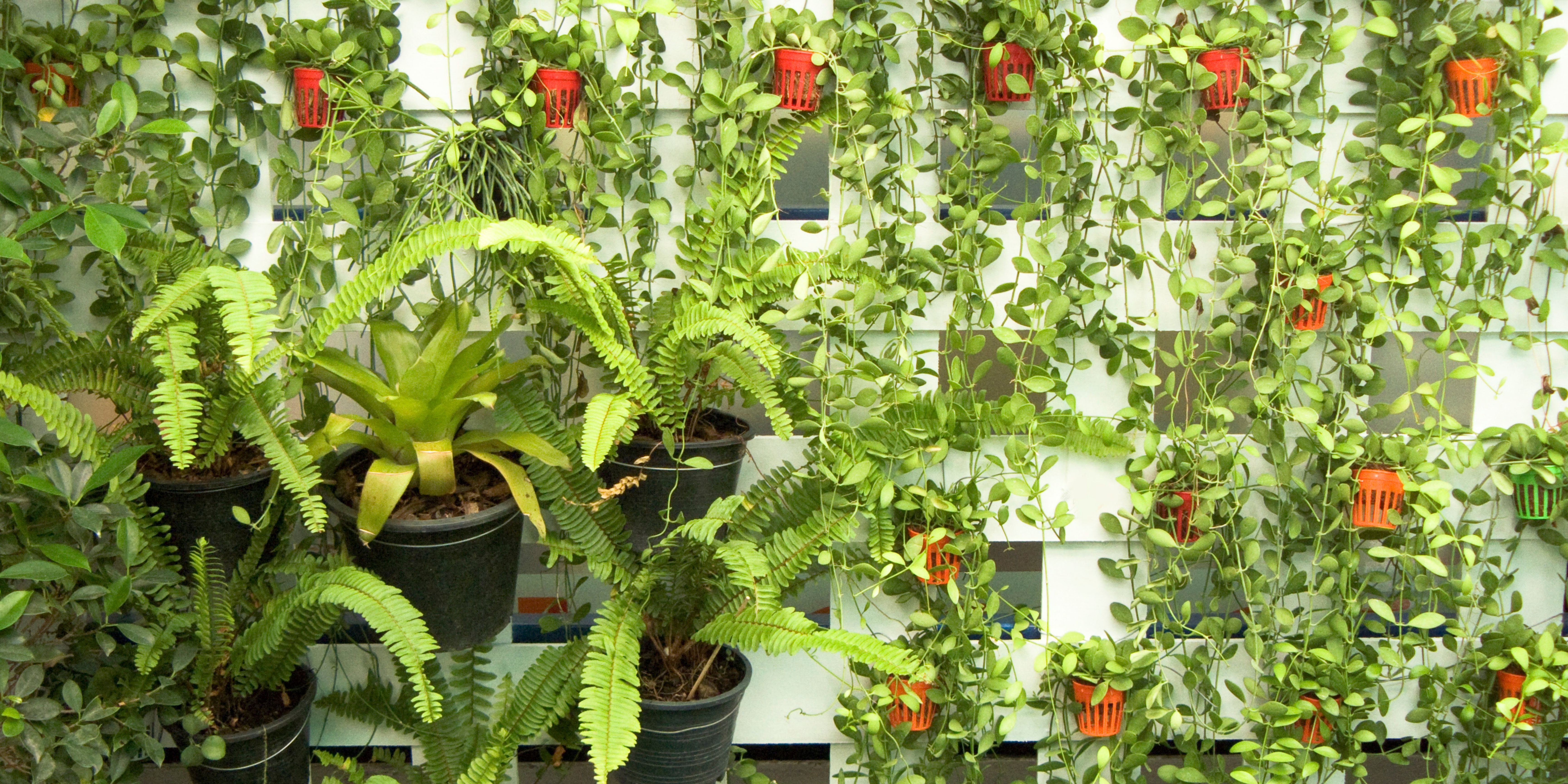 Vertical Gardening als neuer Trend fr In- und Outdoor