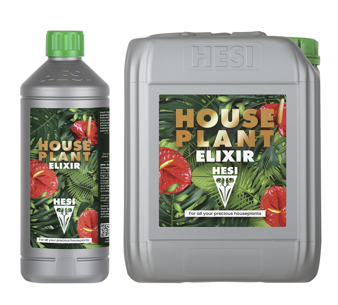 HousePlant Elixir