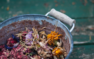 Recette de pot-pourri naturel parfumé : Idée DIY 