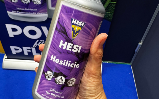 Siliziumdnger Indoor Outdoor 2 X 1 Liter HESI Hesilicio Silizium Booster -  Fr Starke Pflanzen Indoor Outdoor