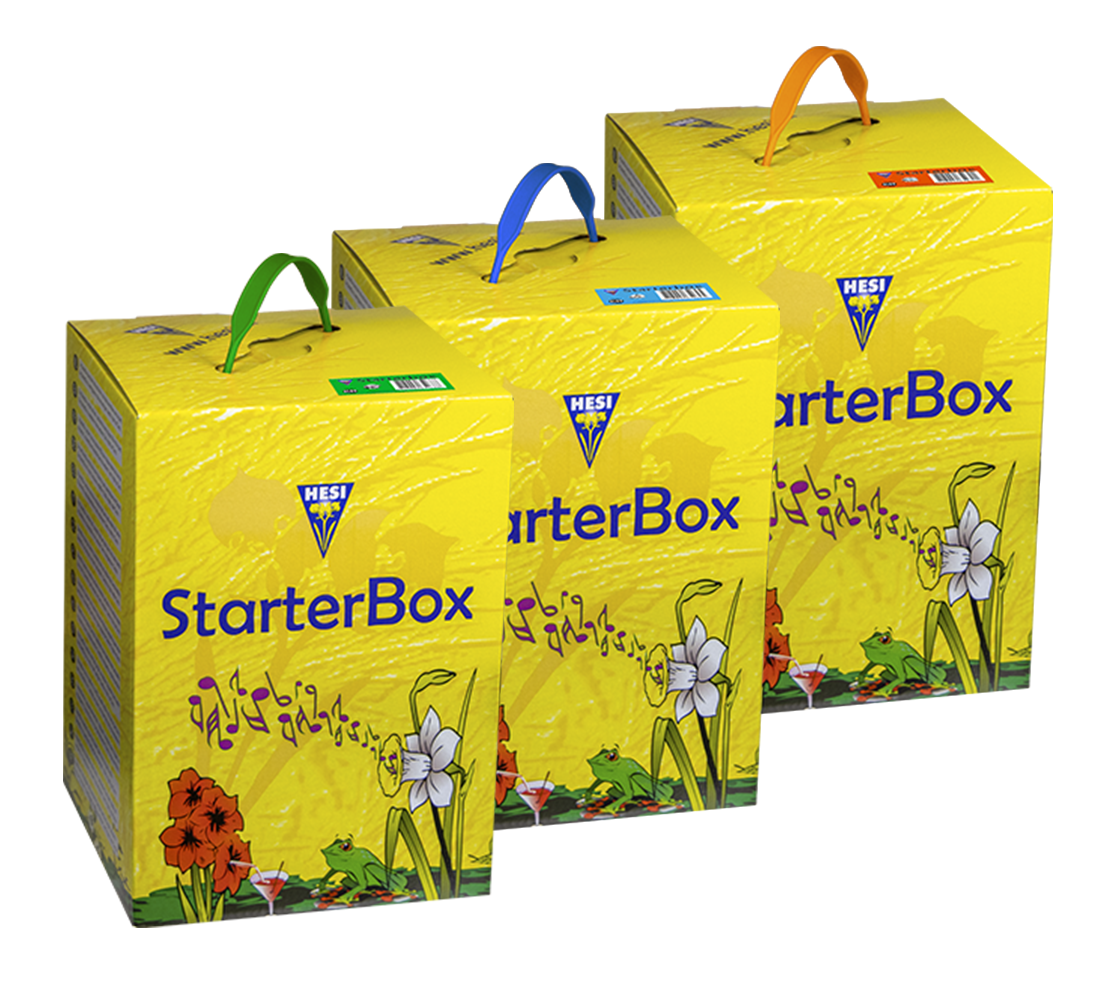 StarterBox