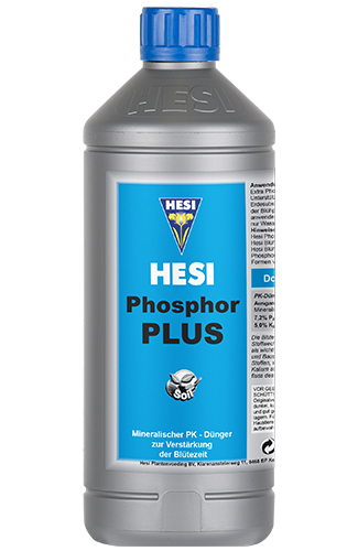 Phosphor Plus