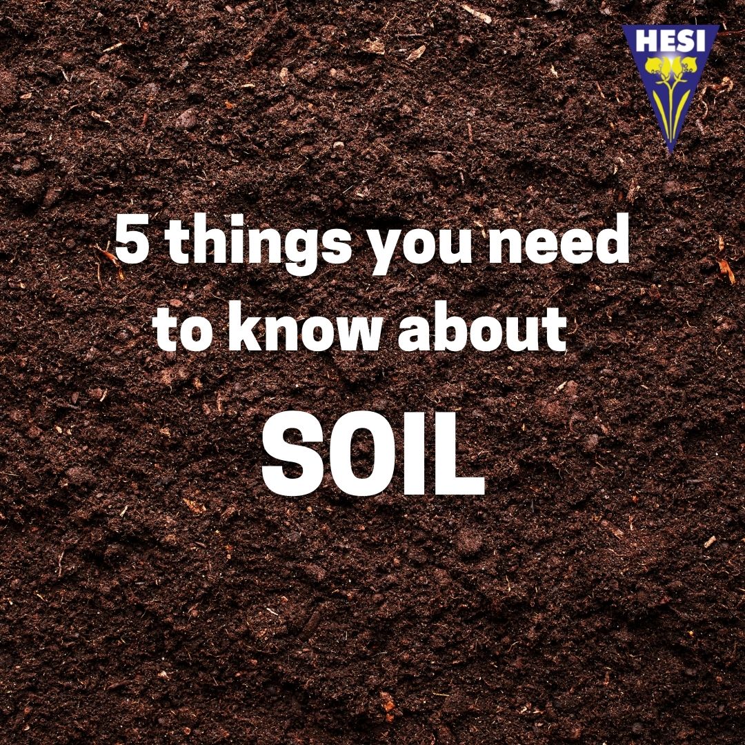 5 things you need to know about soil