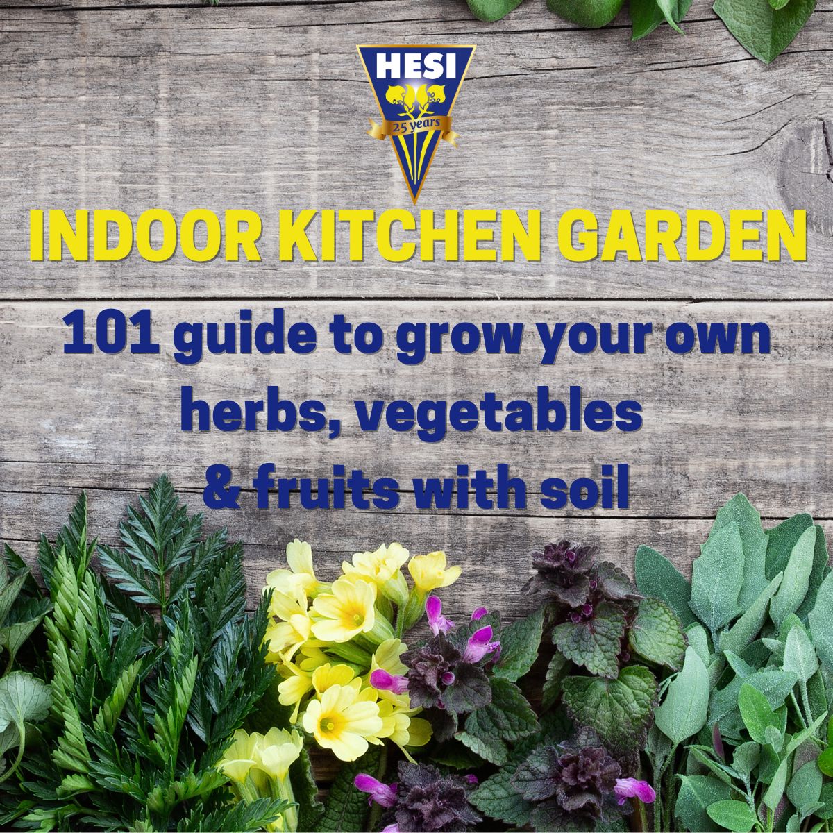Indoor kitchen garden guide | grow your own edible herbs, veggies & fruits