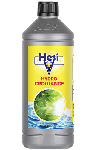 Hydro Croissance